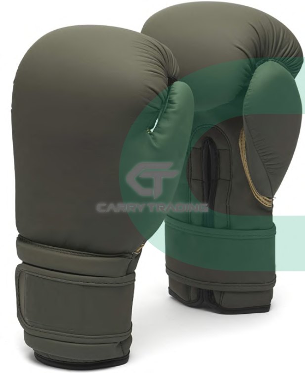 Boxing Gloves CTM-049, photo 1 of 2
